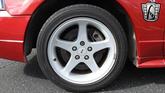 Thumbnail of 2001 Laser Tint Red Ford Mustang