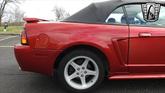 Thumbnail of 2001 Laser Tint Red Ford Mustang