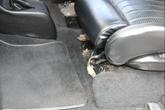 Thumbnail of 1938 Black with Flames Ford Deluxe