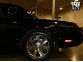 Thumbnail of 2002 Evening Black Ford Thunderbird