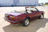 Thumbnail of 1983 Maroon Ford Mustang