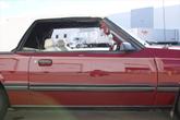 Thumbnail of 1983 Maroon Ford Mustang