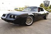 Thumbnail of 1981 Black Pontiac Firebird