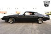 Thumbnail of 1981 Black Pontiac Firebird