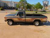 Thumbnail of 1979 Bronze Ford F-150