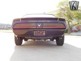 Thumbnail of 1981 Brown Pontiac Firebird