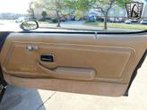 Thumbnail of 1981 Brown Pontiac Firebird