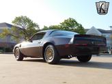 Thumbnail of 1981 Brown Pontiac Firebird