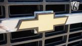 Thumbnail of 1986 White and blue stripe Chevrolet C10/K10