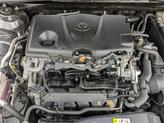 Thumbnail of 2020 Predawn Gray Mica Toyota Camry