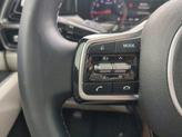 Thumbnail of 2022 Sapphire Blue Kia Sorento