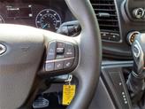 Thumbnail of 2025 Gray Metallic Ford Transit-250