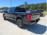 Thumbnail of 2023 Agate Black Metallic Ford F-150