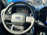 Thumbnail of 2025 Gray Metallic Ford F-150