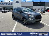 Photo of 2021 Smoke Ford EcoSport