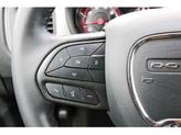 Thumbnail of 2023 Sublime Clearcoat Metallic Dodge Charger
