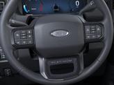 Thumbnail of 2025 Gray Ford F-250