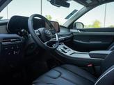 Thumbnail of 2025 Steel Graphite Hyundai PALISADE