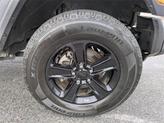 Thumbnail of 2021 Sarge Green Clearcoat Jeep Wrangler Unlimited