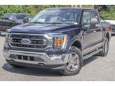 Thumbnail of 2022 Antimatter Blue Metallic Ford F-150