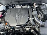 Thumbnail of 2023 Glacial White Pearl Kia Sorento