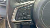 Thumbnail of 2025 Autumn Green Metallic Subaru Outback