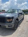 Thumbnail of 2025 Gray Ford F-150