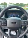 Thumbnail of 2025 Gray Ford F-150
