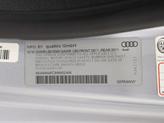 Thumbnail of 2017 Florett Silver Metallic Audi RS 7
