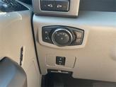 Thumbnail of 2020 Magnetic Ford F-250