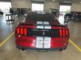 Thumbnail of 2017 RUBY RED METALLIC TINTED CC Ford Shelby GT350
