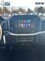 Thumbnail of 2022 Agate Black Metallic Ford F-150