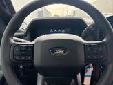 Thumbnail of 2025 Carbonized Gray Metallic Ford F-150