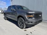 Photo of 2025 Gray Metallic Ford F-150