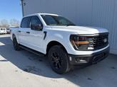 Photo of 2025 Oxford White Ford F-150