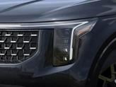 Thumbnail of 2025 Panthera Metal Kia Carnival Hybrid