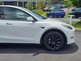 Thumbnail of 2023 Pearl White Multi-Coat Tesla Model Y