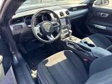 Thumbnail of 2019 Magnetic Ford Mustang