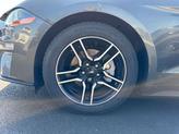 Thumbnail of 2019 Magnetic Ford Mustang