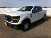 Thumbnail of 2025 Oxford White Ford F-150