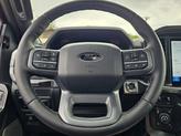 Thumbnail of 2025 Rapid Red Metallic Tinted Clearcoat Ford F-150