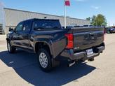 Thumbnail of 2025 Underground Toyota Tacoma