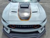 Thumbnail of 2022 Fighter Jet Gray Ford Mustang