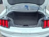 Thumbnail of 2022 Fighter Jet Gray Ford Mustang