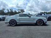 Thumbnail of 2022 Fighter Jet Gray Ford Mustang