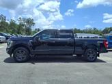 Thumbnail of 2023 Agate Black Metallic Ford F-150