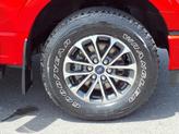 Thumbnail of 2021 Race Red Ford F-150