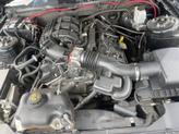 Thumbnail of 2013 Black Ford Mustang