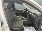 Thumbnail of 2023 Oxford White Ford Escape