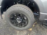 Thumbnail of 2026 Carbonized Gray Metallic Ford F-250
